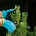 Секатор с наковальней Palisad, 170 мм, усиленный, рукоятки в ПВХ-оболочке, Luxe 605235 купить в Магнитогорске