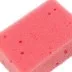 Губки для посуды Coral, 95 x 64 x 36 мм, 4 шт, Home Palisad 923585 купить в Магнитогорске