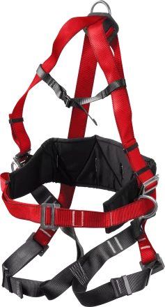 Удерживающая привязь 3 точки крепления серия Без серии купить в Магнитогорске