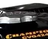 Вибратор глубинный бензиновый CHAMPION CVG424 купить в Магнитогорске