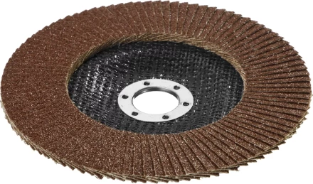 Круг шлифовальный STAYER &quot;PROFI&quot; лепестковый торцевой, зерно-электрокорунд нормальный, тип КЛТ 1, P60, 125х22,2мм 36581-125-060 купить в Магнитогорске