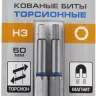 ЗУБР Hex 3, 50 мм, 2 шт, торсионные биты, Профессионал (26017-3-50-2) купить в Магнитогорске
