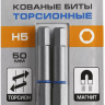 ЗУБР Hex 5, 50 мм, 2 шт, торсионные биты, Профессионал (26017-5-50-2) купить в Магнитогорске