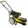 Газонокосилка CHAMPION LMH 5629 купить в Магнитогорске