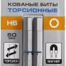 ЗУБР Hex 6, 50 мм, 2 шт, торсионные биты, Профессионал (26017-6-50-2) купить в Магнитогорске
