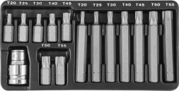 Набор вставок-бит 30 и 75 мм Torx T20-T55 15 предметов S29Н4215 S Jonnesway 47397