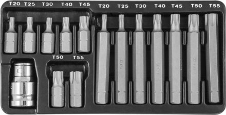 Набор вставок-бит 30 и 75 мм Torx T20-T55 15 предметов S29Н4215 S Jonnesway 47397 купить в Магнитогорске