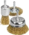 STAYER &quot;PROFESSIONAL&quot;. Набор щеток-крацовок для дрели, витая стальная латунированная проволока 0,3мм, диск. 50мм, чаш. 50мм, кистевая 25мм, 3шт 35152-H3_z01 купить в Магнитогорске