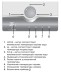 Проточный водонагреватель ELECTROLUX NPX 8 Flow Active купить в Магнитогорске