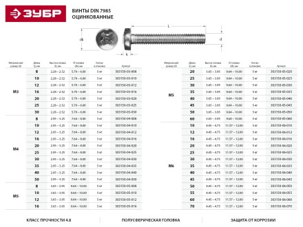 Винт ЗУБР &quot;МАСТЕР&quot; DIN 7985, класс прочности 4.8, оцинкованный, M6x10мм, 5кг 303150-06-010 купить в Магнитогорске