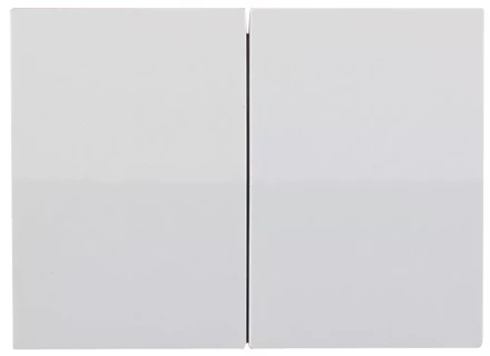 Выключатель СВЕТОЗАР &quot;ЭФФЕКТ&quot; двухклавишный, без вставки и рамки, цвет белый, 10A/~250B SV-54434-W купить в Магнитогорске