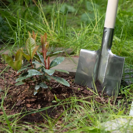 Лопата штыковая, нержавеющая сталь Сибртех, 200х265 мм, ребра жесткости, без черенка, Россия 614375 купить в Магнитогорске
