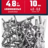 ЗУБР 4.8 x 10 мм, 50 шт, алюминиевые заклепки, Профессионал (313106-48-10) купить в Магнитогорске
