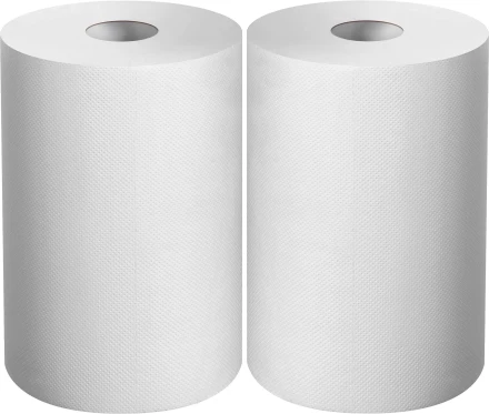 ЗУБР 20 х 25 см, 2-х слойная, в рулоне, 400 листов, 2 рулона, протирочная бумага, Профессионал (12822-20) купить в Магнитогорске