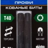 ЗУБР TX 40, 50 мм, 2 шт, ударные биты, Профессионал (26025-40-50-S2) купить в Магнитогорске