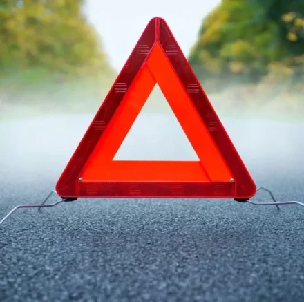 Знак аварийной остановки в кейсе STELS 54914 купить в Магнитогорске